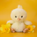 Bukowski Baby Chicky plüss csibe sárga háttér előtt két sárga nárcisz virág között
