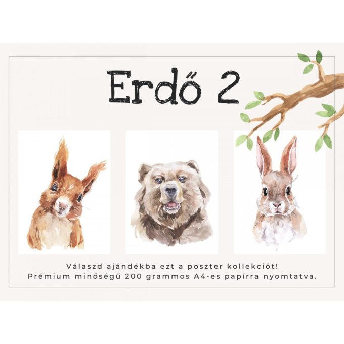 A4-es poszter kollekció - Erdő 2
