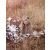 Könnyű álom bambusz takaró 150x160 cm - Szafari
