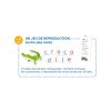 Djeco Fejlesztő játék - Csak Francia nyelvre - Grand coffret Lettres