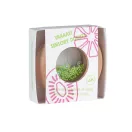 Petit Boum Sensory Donut Kiwis csomagolása 6 hónapos kor feletti jelzéssel