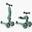 Scoot and Ride Highwaykick1. 2 in 1 kismotor/roller Forest