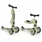 Scoot and Ride Highwaykick1. 2 in 1 kismotor/roller Oliva