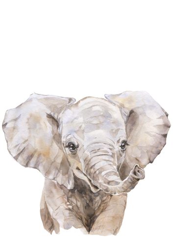 A4-es poszter - Festett elefánt