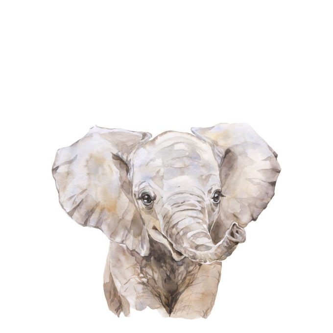 A4-es poszter - Festett elefánt