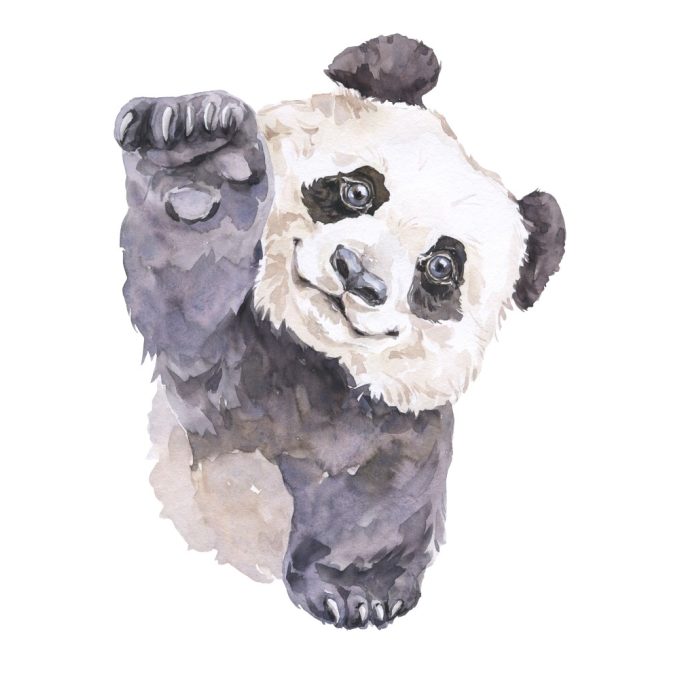 A4-es poszter - Festett panda