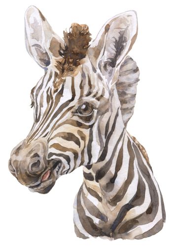 A4-es poszter - Festett zebra