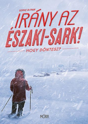 Irány az Északi-sark! Hogy döntesz?