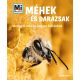 Méhek és darazsak – Mi MICSODA