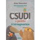 Csudi, a pacsirta - A tél megmentése