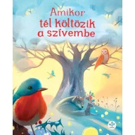 Amikor tél költözik a szívembe mesekönyv borítója havas fával madárral és állatokkal