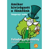 Amikor kivirágzott a fánkfánk feladatgyűjtemény borítója zöld ruhás figurával és cilinderrel