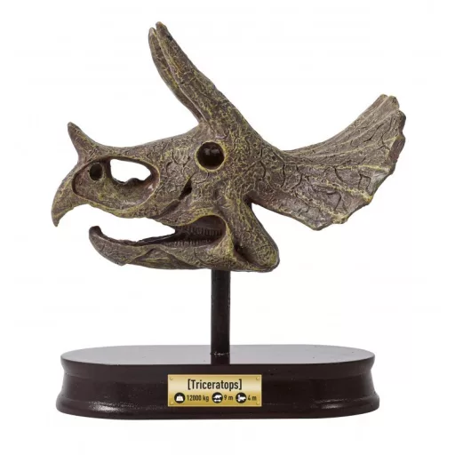 Triceratops koponya felfedező készlet BUKI