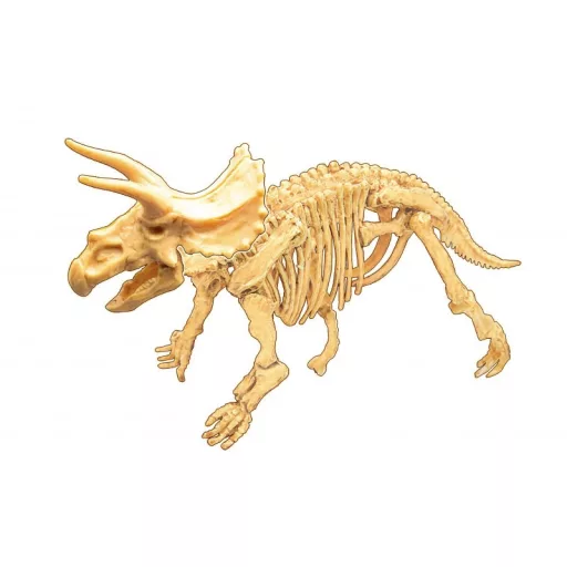 Dínó csontváz felfedező készlet Triceratops BUKI