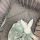 Pastell steppelt babaágynemű szett - Grafit 100x135 + 40x60