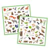 Djeco Matricák - Állatvilág - Fauna