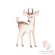Design falmatrica - Ozgida