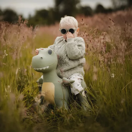 Find that hippo - Felfújható ugráló játék - Dexter a dínó