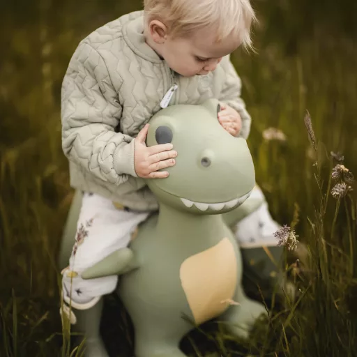 Find that hippo - Felfújható ugráló játék - Dexter a dínó