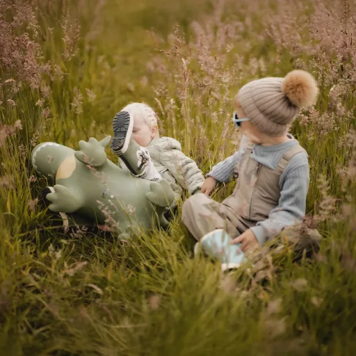 Find that hippo - Felfújható ugráló játék - Dexter a dínó