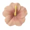 Oli & Carol természetes rágóka - Iris a hibiszkusz