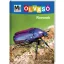 Mi MICSODA Olvasó – Rovarok