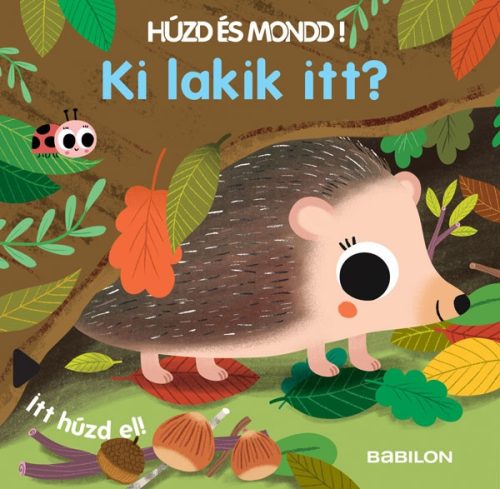 Mesekönyv - Húzd és mondd! - Ki lakik itt?