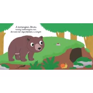 Mesekönyv - Szép napot, kismackó!