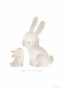 Little Dutch A3 poszter - Baby Bunny