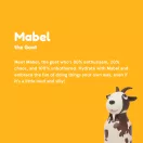 Mabel a kecske bemutatkozó kártyája sárga háttérrel az Asobu Bestie kollekcióból