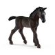 Schleich 13820P Lipizzaner Csikó