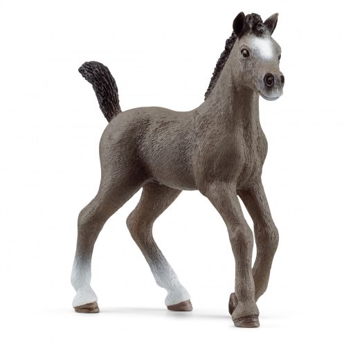 Schleich 13957 Cheval De Selle Fajtájú Csikó 