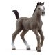 Schleich 13957 Cheval De Selle Fajtájú Csikó 