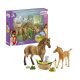 Schleich 42432 Horse Club Sarah Kis Állatai Ápoló Szettel