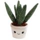 WeBloom plüss virág - Mosolygós Aloe vera - 27 cm