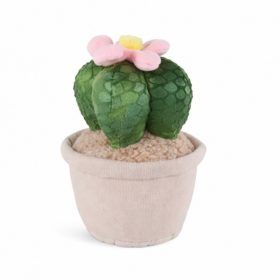 WeBloom plüss virág - Gömbkaktusz