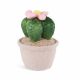 WeBloom plüss virág - Gömbkaktusz