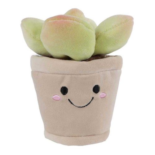 WeBloom plüss virág - Mosolygós pozsgás - Zöld - 13cm