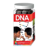 Djeco Tudományos modellező készlet - DNS molekula - DNA