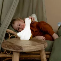 Little Dutch lámpák