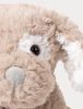 Teddykompaniet plüss - Hasse Kutya plüss (25 cm)
