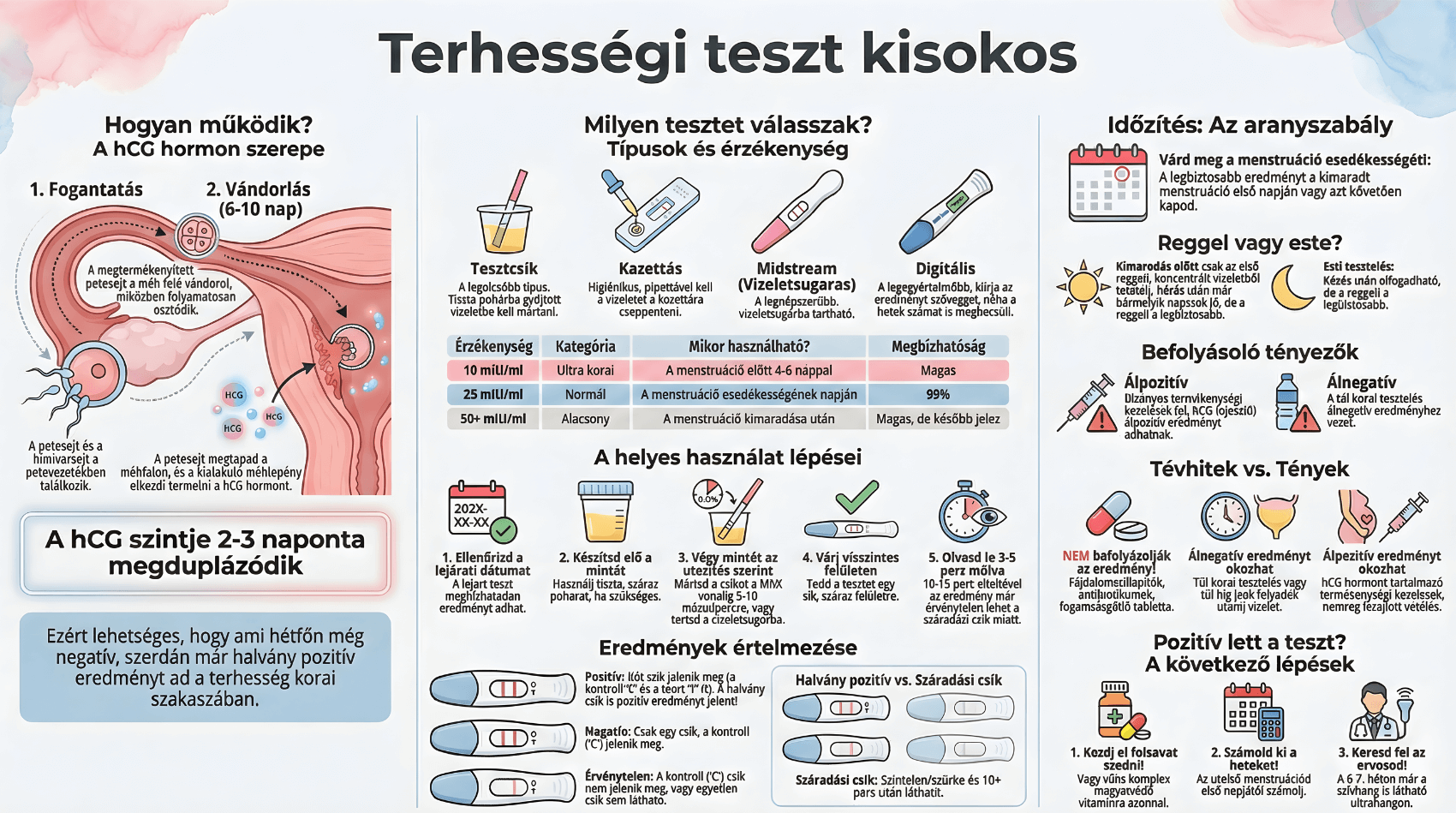 Terhességi teszt használata infografika: Működés, típusok, időzítés és eredmények kisokos